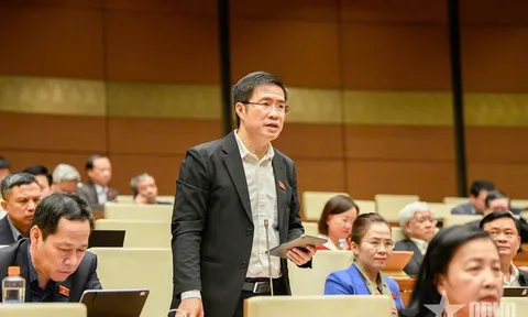 Đại biểu Quốc hội: Báo chí đầu tư, nền tảng số hưởng lợi-cần luật hóa quyền liên quan