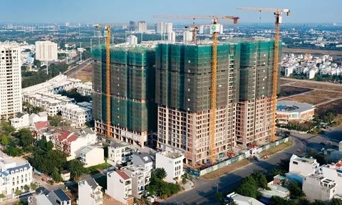 Bất động sản Thái Bình: Vi phạm công bố thông tin trong bối cảnh lỗ lớn năm 2024