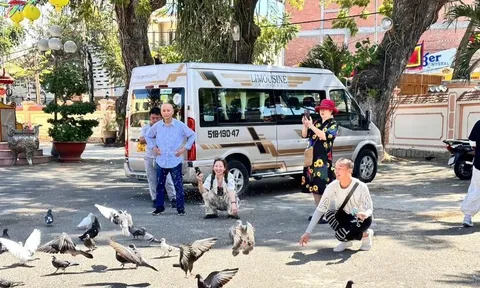 Đình làng vào tour du lịch