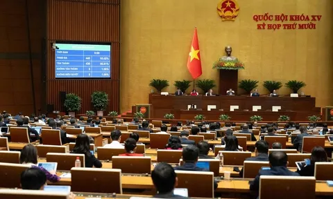 Đặt ưu tiên cao nhất cho phát triển vùng đồng bào dân tộc thiểu số và miền núi