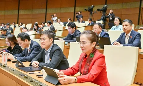 Khẩn trương rà soát, hoàn thiện vị trí việc làm phù hợp với tổ chức bộ máy sau sắp xếp