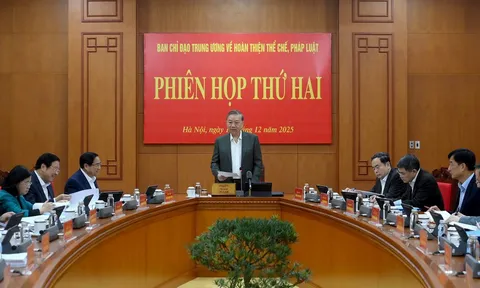 Phiên họp thứ hai, Ban Chỉ đạo Trung ương về hoàn thiện thể chế, pháp luật