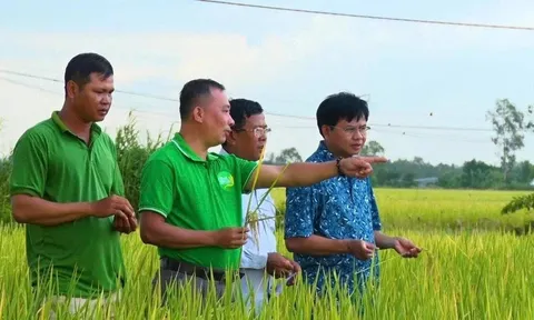 Toàn Cầu Group tái cấu trúc chuỗi giá trị nông nghiệp xanh, hướng tới hệ sinh thái bền vững