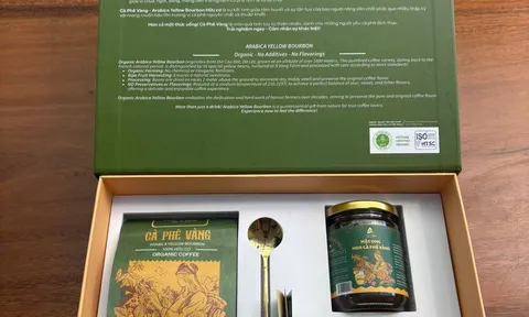 Cà phê A Vàng – Hành trình hồi sinh “hạt vàng” trăm năm của đất Việt