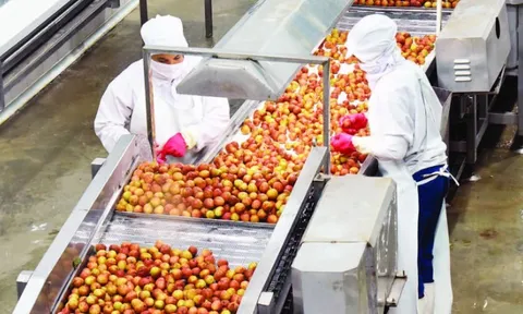 Minh bạch chuỗi nông sản từ truy xuất nguồn gốc