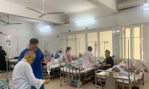 Vì sao nhiều ca bệnh sốt xuất huyết và tay chân miệng chuyển nặng?