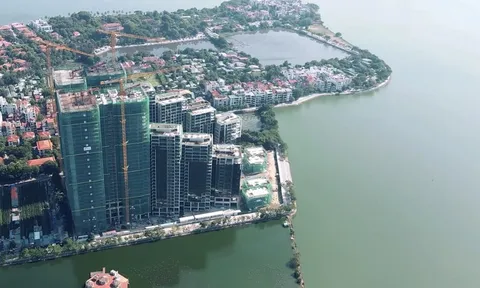 Hà Nội thụ lý tố cáo liên quan sai phạm quản lý đất đai, trật tự xây dựng tại bán đảo Quảng An