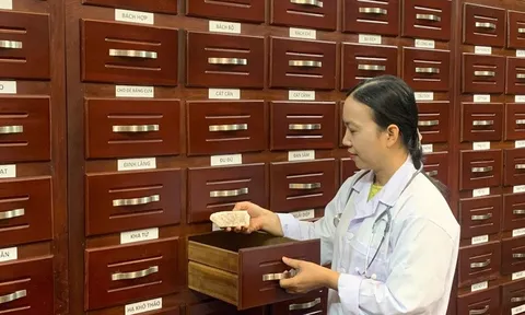 Lần đầu tiên ban hành phác đồ kết hợp y học cổ truyền và hiện đại cho 16 bệnh phổ biến