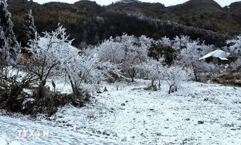 Thời tiết hôm nay (23-1): Hà Nội trời rét đậm, rét hại, Tây Bắc có nơi dưới 6 độ C