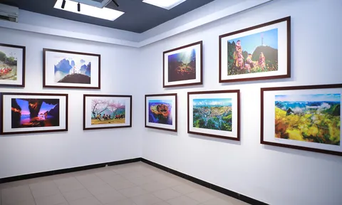 100 tác phẩm nhiếp ảnh mừng Đảng, mừng Xuân, chào mừng thành công Đại hội XIV