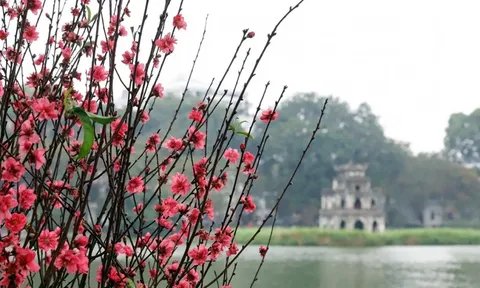 Thời tiết hôm nay (30-1): Trời ẩm, sương mù, miền Bắc sắp chuyển mưa rét