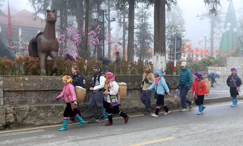 Thời tiết hôm nay (31-1): Không khí lạnh gây rét đậm tại vùng núi