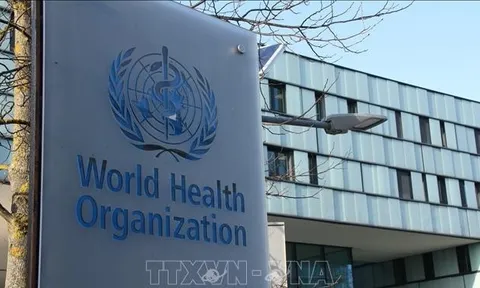 Gam màu sáng tối trong bức tranh y tế thế giới