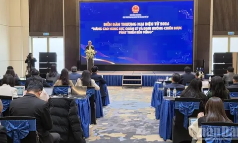 Luật Thương mại điện tử: Hoàn thiện khung pháp lý để phát triển bền vững