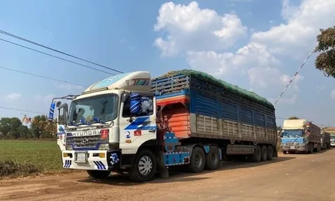 Nghiên cứu rà soát, điều chỉnh Nghị định 46/2026/NĐ-CP bảo đảm tính khả thi