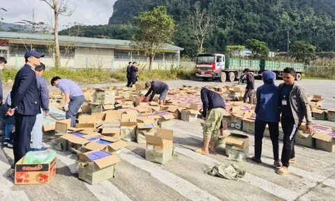 Phát hiện 1.787 vụ buôn lậu, thu giữ 154 kg ma túy trong 1 tháng