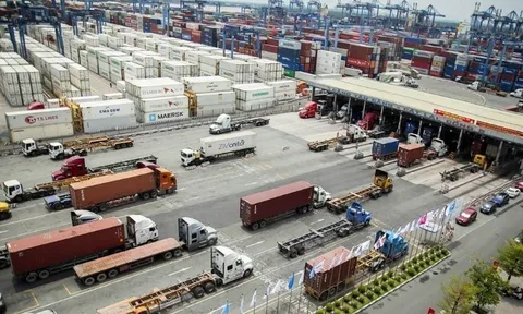 Sàn giao dịch hàng hóa Việt Nam: Từng bước hình thành “trung tâm định giá” cho nông sản và nguyên liệu