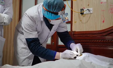 Chấn chỉnh thực hiện quy định về hiến, lấy, ghép mô, bộ phận cơ thể người