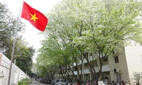 Thời tiết hôm nay (11-3): Miền Bắc rét về đêm và sáng, miền Trung mưa giảm