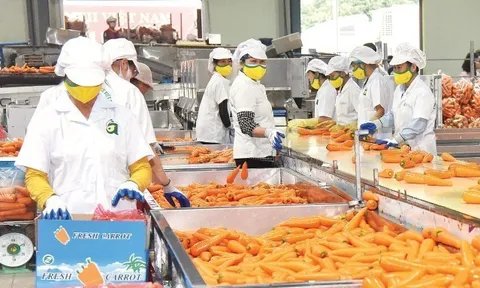 Gia tăng nhận diện thương hiệu nông sản Việt Nam