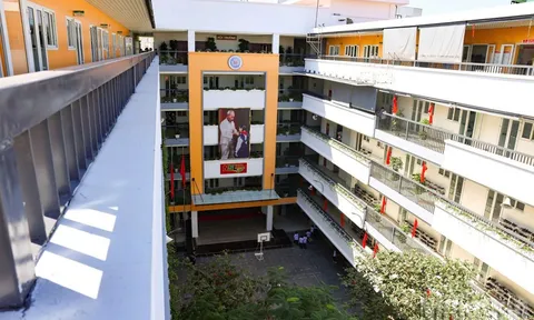 Thủ tục, quy trình bổ nhiệm cán bộ quản lý cơ sở giáo dục