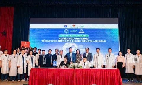 Hợp tác thúc đẩy nghiên cứu và ứng dụng tế bào gốc trong điều trị lâm sàng