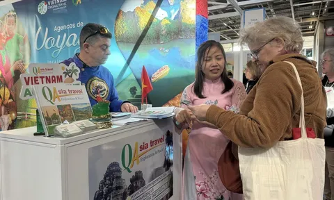 Sức hút mạnh mẽ của điểm đến Việt Nam trong mắt du khách Pháp