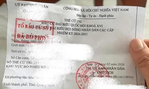 Nguy cơ lộ lọt thông tin cá nhân khi đăng thẻ cử tri lên mạng xã hội