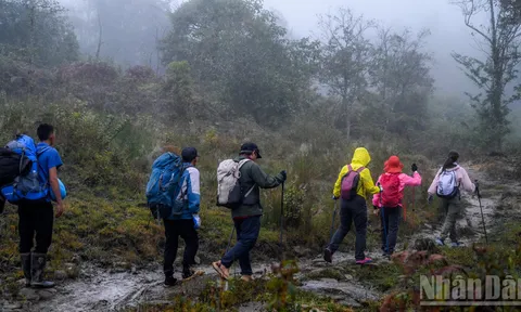 Công bố Tiêu chuẩn quốc gia về hoạt động du lịch mạo hiểm