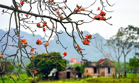 Thời tiết hôm nay (19-3): Miền Bắc trời nắng ấm, miền Nam nắng nóng