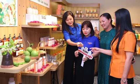 Doanh nghiệp trẻ quảng bá sản phẩm xanh tại “Sức sống hàng Việt” lần 3