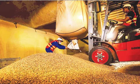 Chuyển đổi xuất khẩu theo xu hướng tiêu dùng xanh