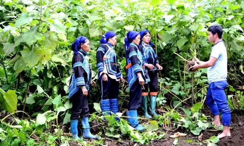 Củng cố hệ thống chính trị vùng đồng bào dân tộc thiểu số