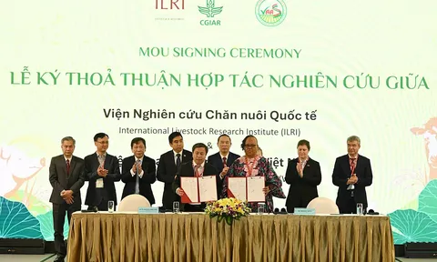 Hợp tác quốc tế thúc đẩy chuyển đổi ngành chăn nuôi theo hướng bền vững
