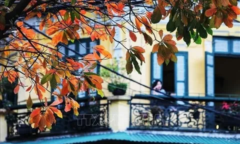 Thời tiết hôm nay (26-3): Bắc Bộ sáng sương mù, trưa hửng nắng