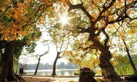 Thời tiết hôm nay (28-3): Bắc Bộ rải rác có mưa, trưa chiều hửng nắng