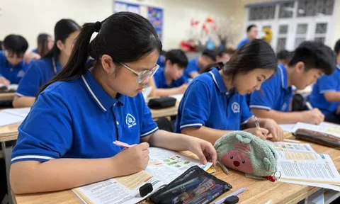 Xây dựng khung bảo đảm chất lượng giáo dục thống nhất từ mầm non đến THPT