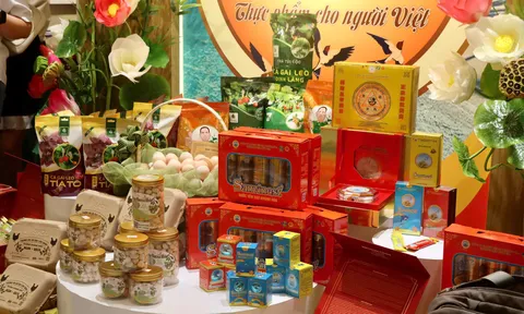 “Sức sống hàng Việt” số 4: Đẩy mạnh tiêu dùng nội địa qua mô hình bán hàng đa kênh