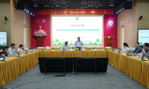 Sửa đổi Luật Đấu giá tài sản: Minh bạch, hiệu quả và thích ứng chuyển đổi số