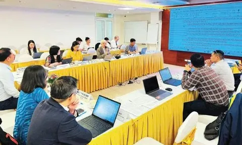 Hoàn thiện hành lang pháp lý, triển khai các chính sách dân số