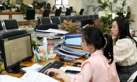 Chính phủ ban hành Nghị định về quản lý, sử dụng ngân sách nhà nước cho hoạt động đối ngoại