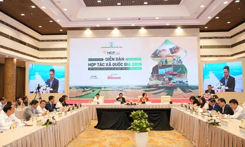 Tái định vị hợp tác xã trong hệ sinh thái kinh tế tư nhân