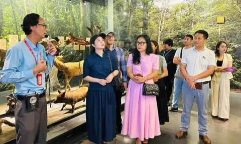 Thúc đẩy liên kết du lịch Hà Nội với các địa phương tại VITM 2026