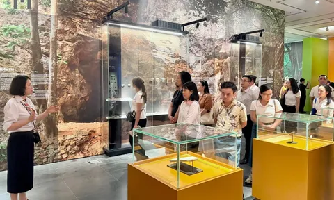 Bảo tàng Hà Nội chính thức trở thành Điểm du lịch của Thủ đô