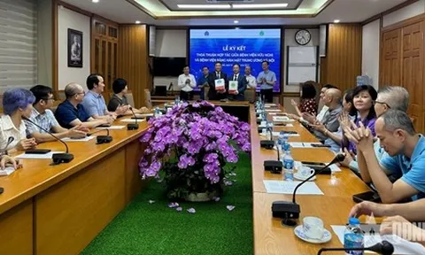 Tích hợp trong điều trị và chăm sóc bệnh nhân người cao tuổi