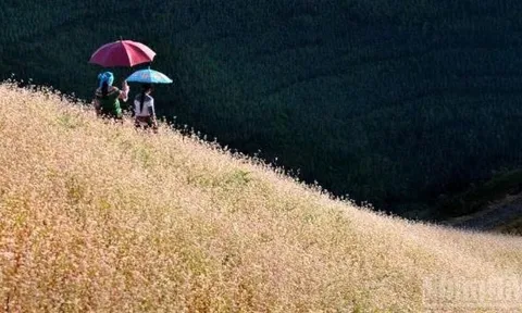 Du lịch Việt Nam tăng trưởng ấn tượng trong quý I: Khẳng định sức hút điểm đến an toàn, hấp dẫn