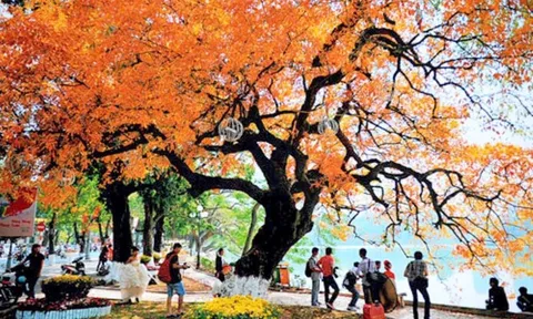 Thời tiết hôm nay (21-4): Bắc Bộ nhiều nơi ngày nắng, rải rác có mưa rào