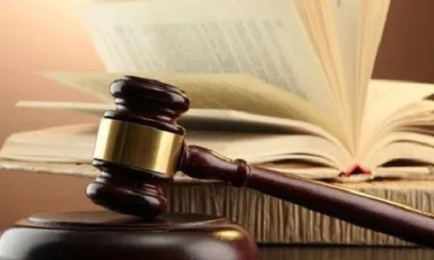 Phân công soạn thảo 9 dự án luật