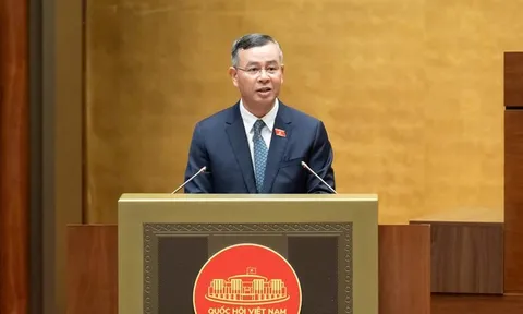 Đề xuất không quy định cứng ngưỡng doanh thu chịu thuế với hộ, cá nhân kinh doanh để tăng tính linh hoạt