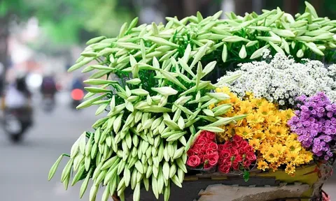 Thời tiết hôm nay (22-4): Miền Bắc tăng nhiệt trước khi chuyển mát, miền Trung nắng nóng gay gắt